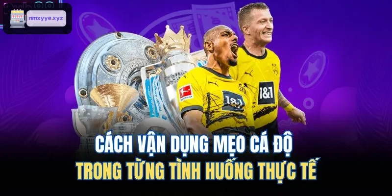 Phương pháp áp dụng mẹo cá cược trong từng hoàn cảnh thực tế