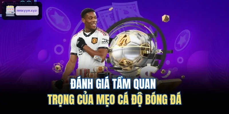 Phân tích tầm quan trọng của bí quyết cá cược bóng đá